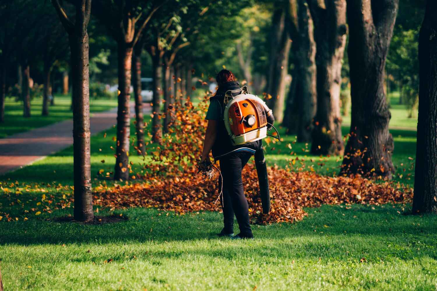 Trusted Winter Park, FL Tree Service Experts